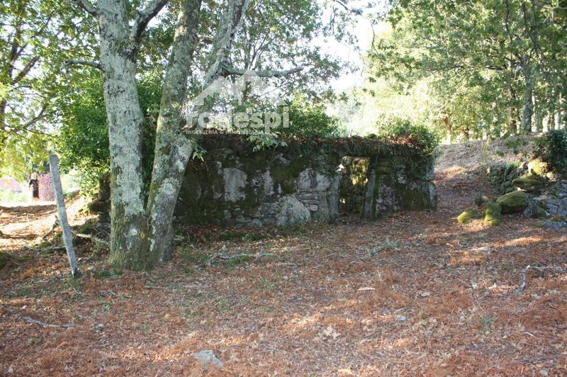 Parcela en venta Mondariz, Pontevedra. Ref: 1504. Rodespi -  Soluciones Para el Rural