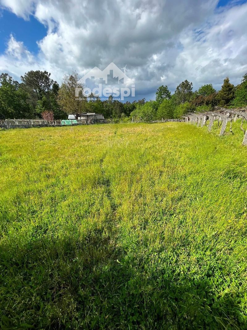 Parcela en venta Salvaterra De Miño, Pontevedra. Ref: 1505. Rodespi -  Soluciones Para el Rural