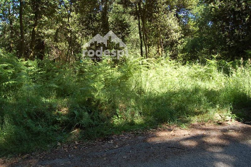 Parcela en venta Salvaterra De Miño, Pontevedra. Ref: 1517. Rodespi -  Soluciones Para el Rural