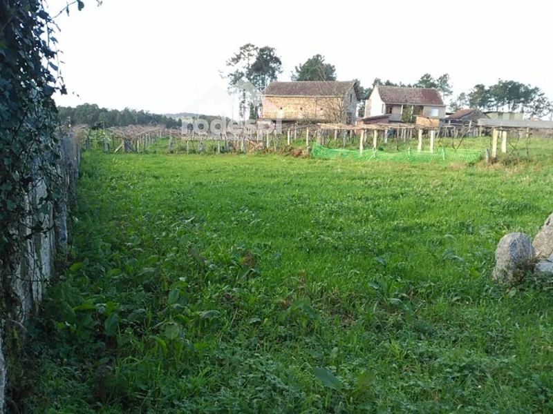 Parcela en venta Salvaterra De Miño, Pontevedra. Ref: 1532. Rodespi -  Soluciones Para el Rural
