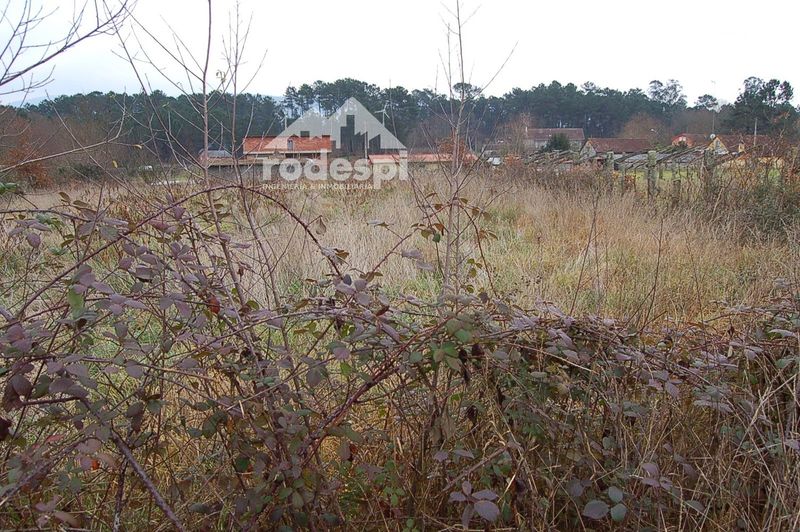 Parcela en venta Ponteareas, Pontevedra. Ref: 1558. Rodespi -  Soluciones Para el Rural