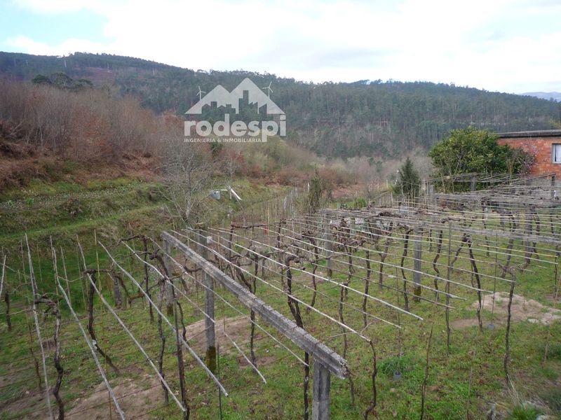 Parcela en venta Mondariz, Pontevedra. Ref: 1563. Rodespi -  Soluciones Para el Rural