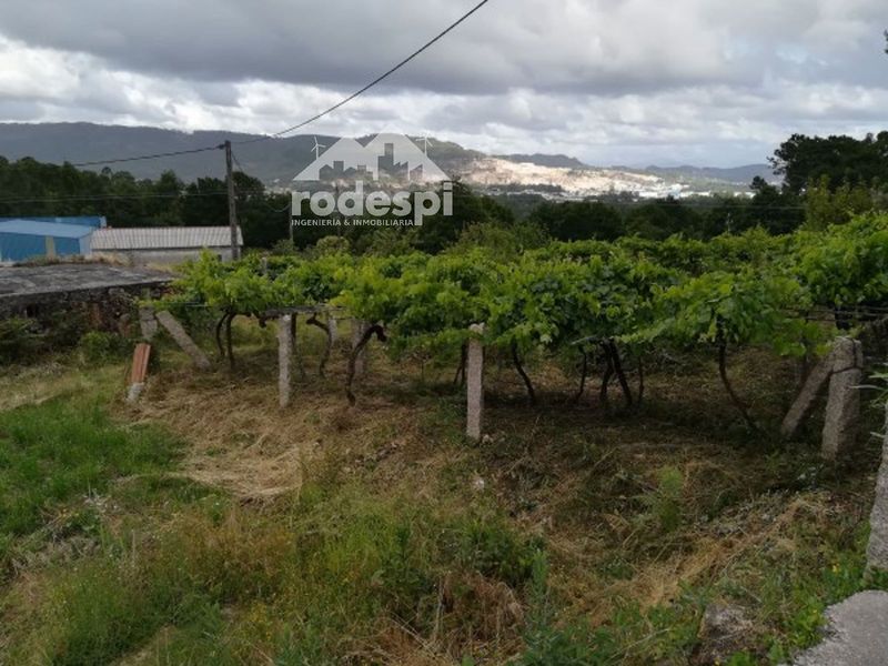 Parcela en venta O Porriño, Pontevedra. Ref: 1649. Rodespi -  Soluciones Para el Rural