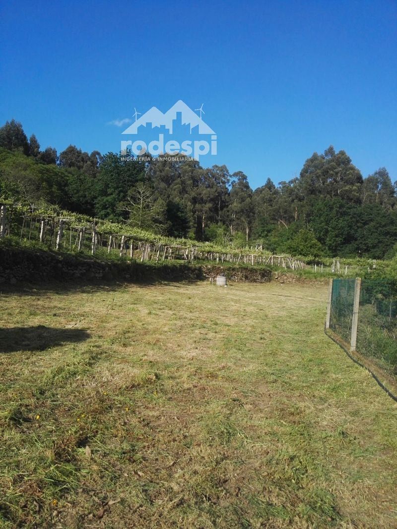 Parcela en venta A Cañiza, Pontevedra. Ref: 1651. Rodespi -  Soluciones Para el Rural