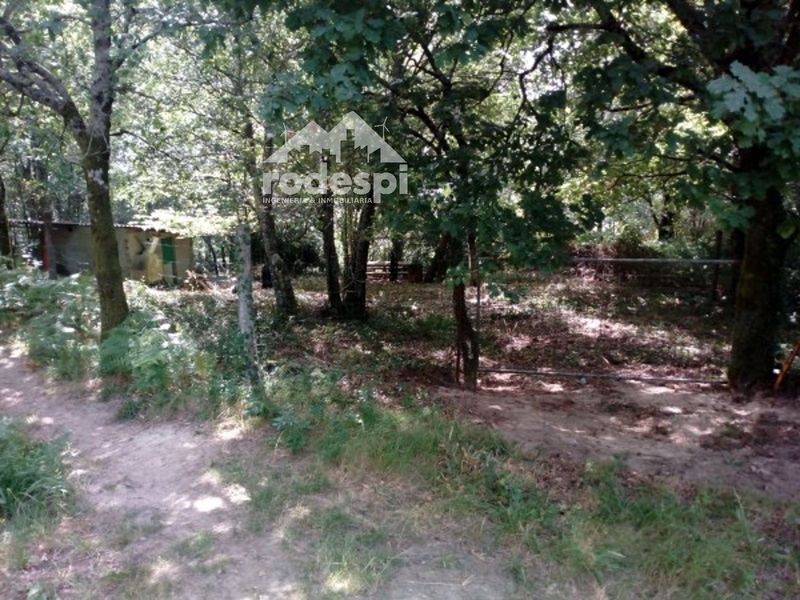 Parcela en venta A Cañiza, Pontevedra. Ref: 1669. Rodespi -  Soluciones Para el Rural
