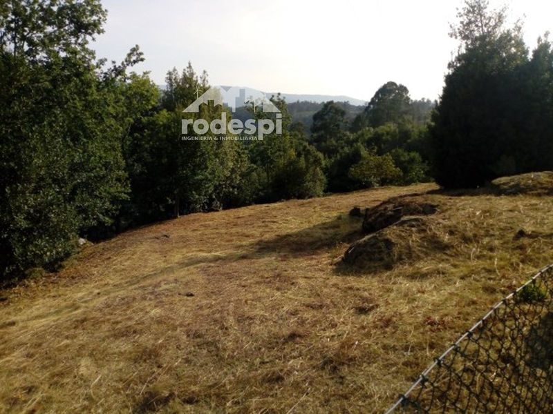 Parcela en venta Crecente, Pontevedra. Ref: 1679. Rodespi -  Soluciones Para el Rural