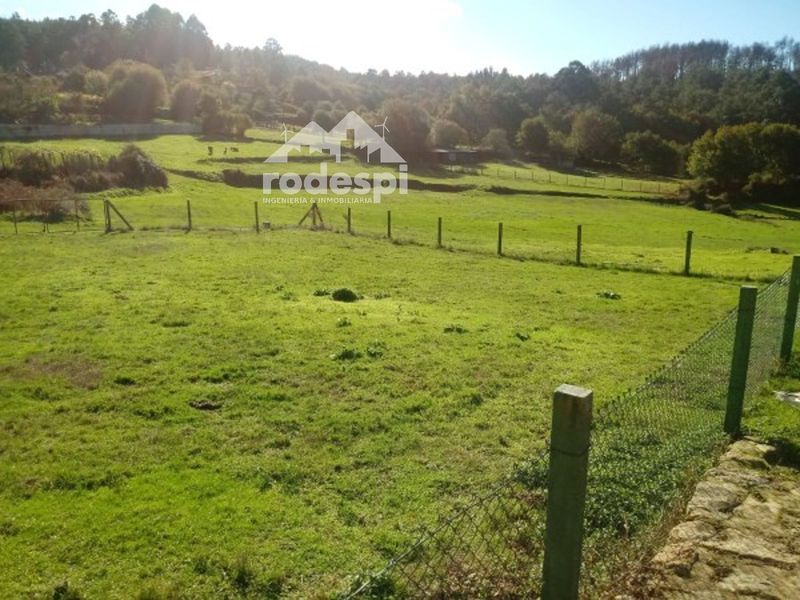 Parcela en venta Covelo, Pontevedra. Ref: 1681. Rodespi -  Soluciones Para el Rural