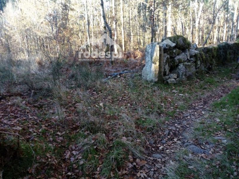 Parcela en venta A Cañiza, Pontevedra. Ref: 1683. Rodespi -  Soluciones Para el Rural