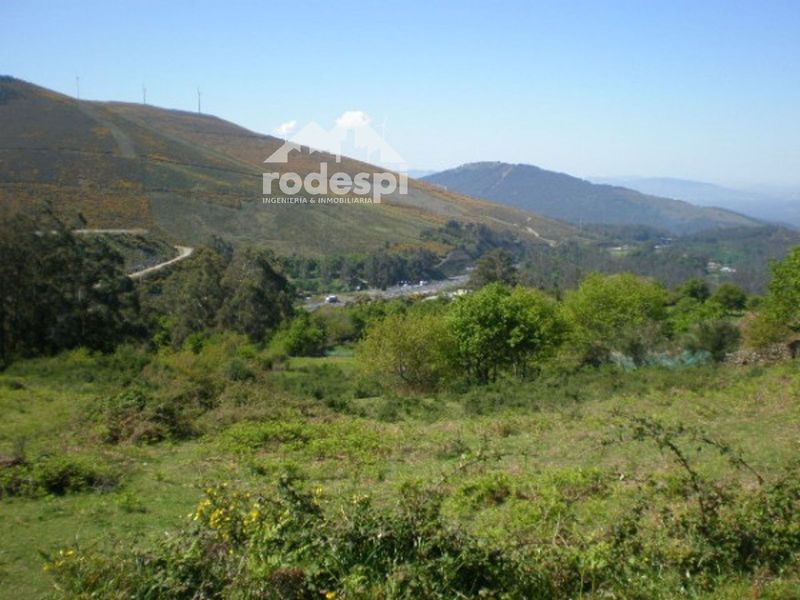 Parcela en venta A Cañiza, Pontevedra. Ref: 1695. Rodespi -  Soluciones Para el Rural