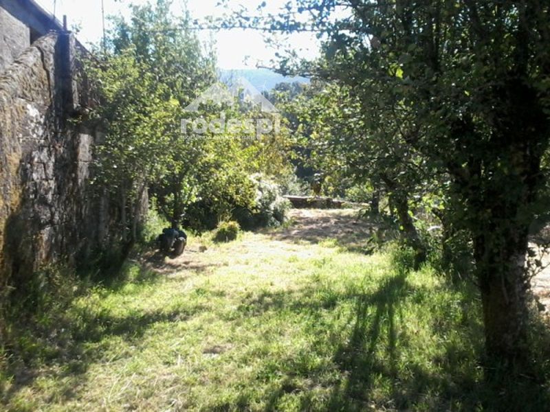 Parcela en venta Covelo, Pontevedra. Ref: 1721. Rodespi -  Soluciones Para el Rural