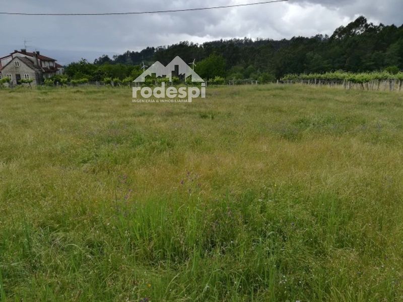 Parcela en venta Crecente, Pontevedra. Ref: 1740. Rodespi -  Soluciones Para el Rural
