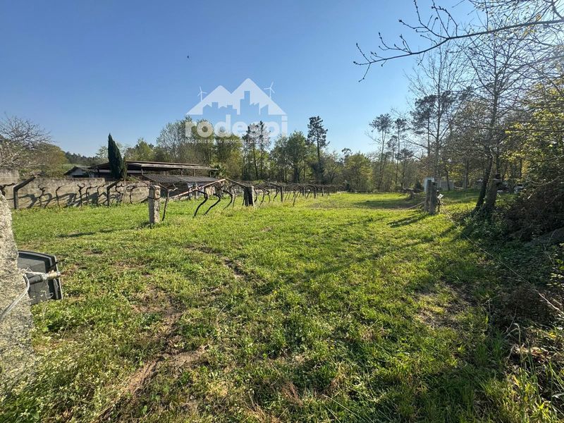 Parcela en venta Salvaterra De Miño, Pontevedra. Ref: 1766. Rodespi -  Soluciones Para el Rural