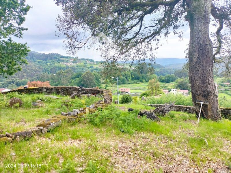 Parcela en venta Cotobade, Pontevedra. Ref: 1769. Rodespi -  Soluciones Para el Rural