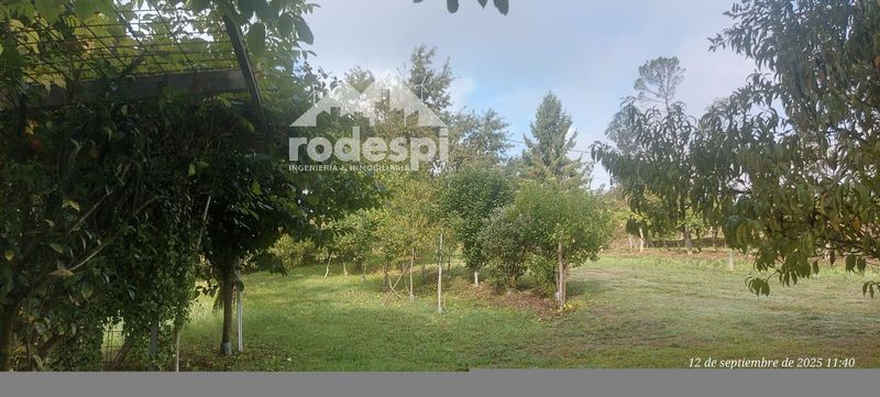 Parcela en venta Ponteareas, Pontevedra. Ref: 1837. Rodespi -  Soluciones Para el Rural