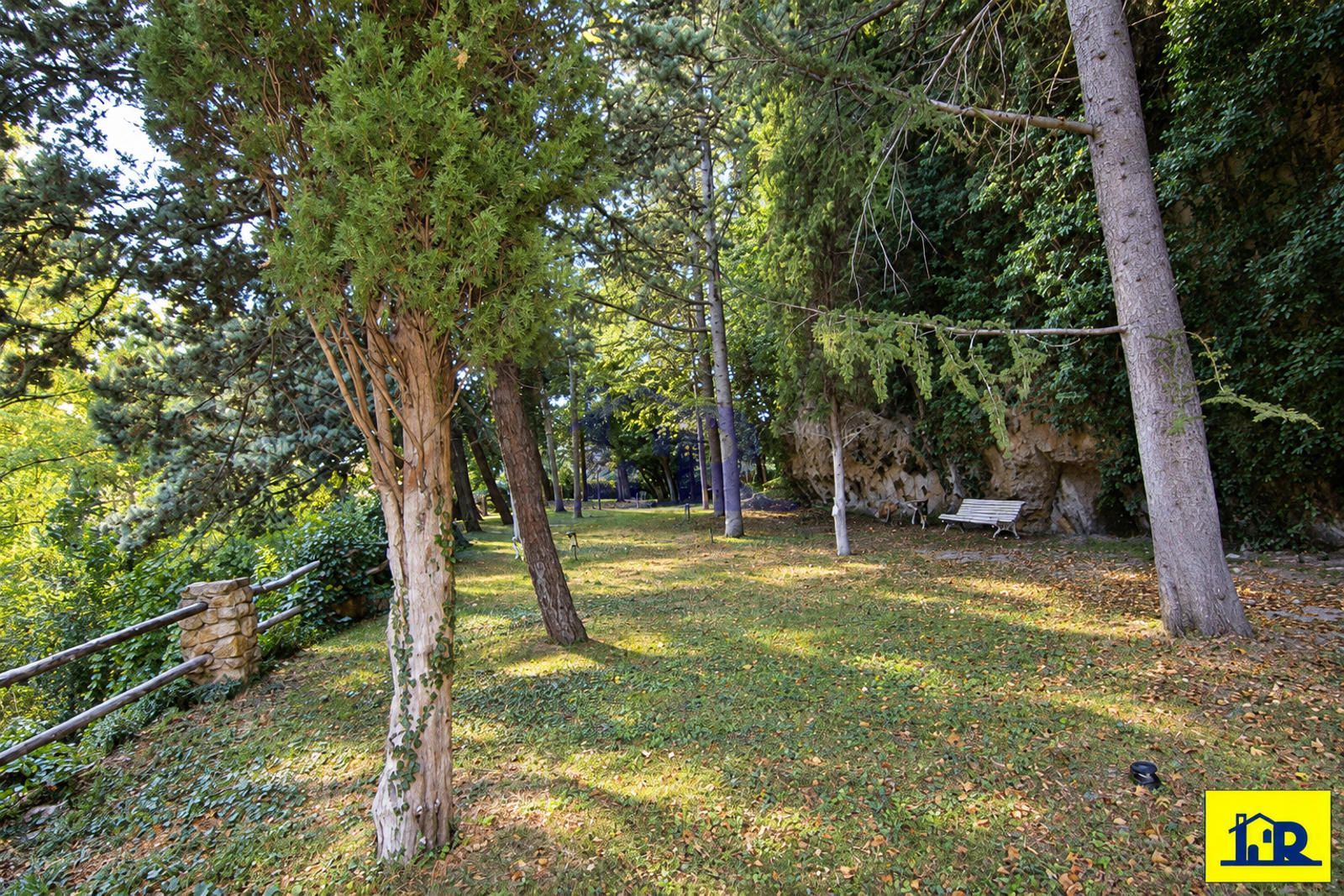 Hocino en San Pablo. junto al Parador Nacional. 27.000 m2 de parcela - Foto 36