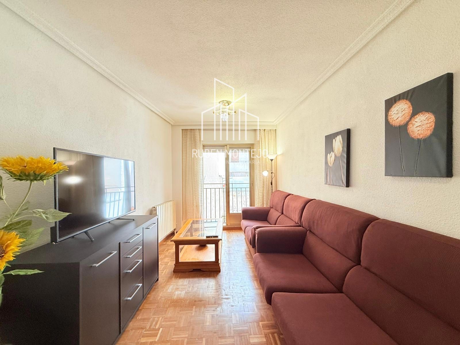 salón - Luminosa vivienda en Fernando de la Peña