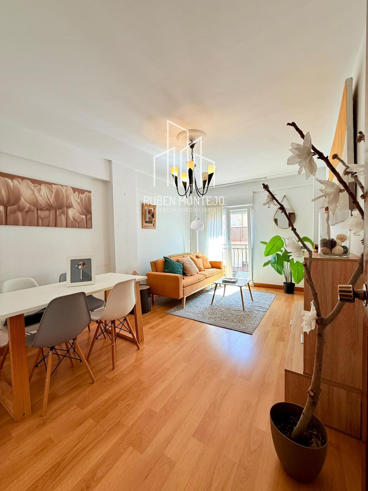 Salón - Luminosa vivienda junto Avenida de Villamayor