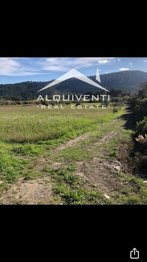 Parcela en venta Campanet, Baleares. Ref: 1032. Alquiventi Real Estate