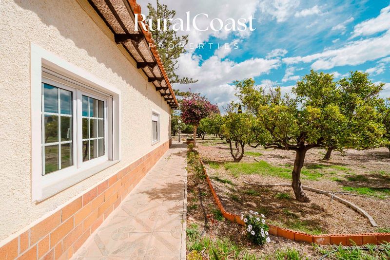 Detached Villa for sale Mutxamel, Alicante. Ref: 9250. Ruralcoast Properties