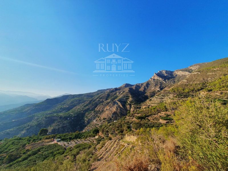 Plot for sale Jete, Granada. Ref: 1051. Ruyz Properties