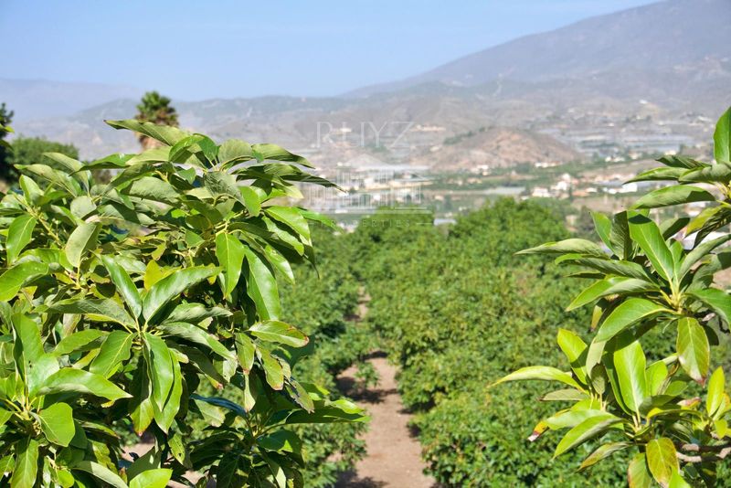 Plot for sale Motril, Granada. Ref: 1135. Ruyz Properties