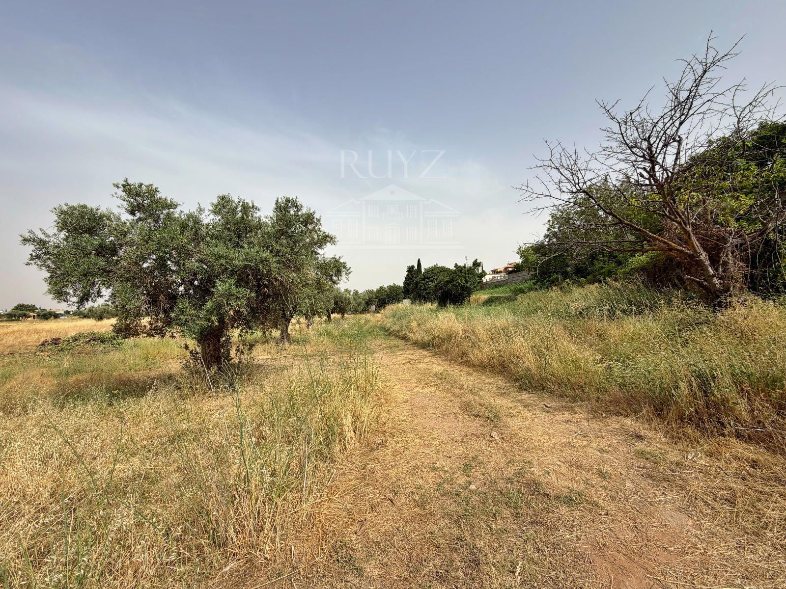 Plot for sale in Otura, Granada - Foto 5