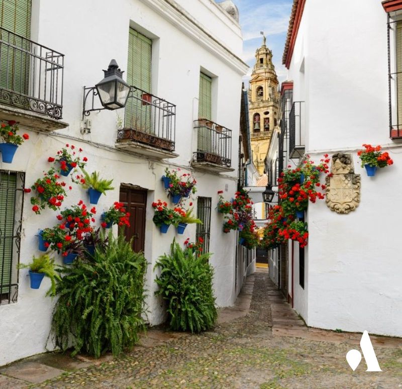 Edificio Singular en venta y alquiler Córdoba. Ref: 1118. San Álvaro Consultoría Inmobilairia