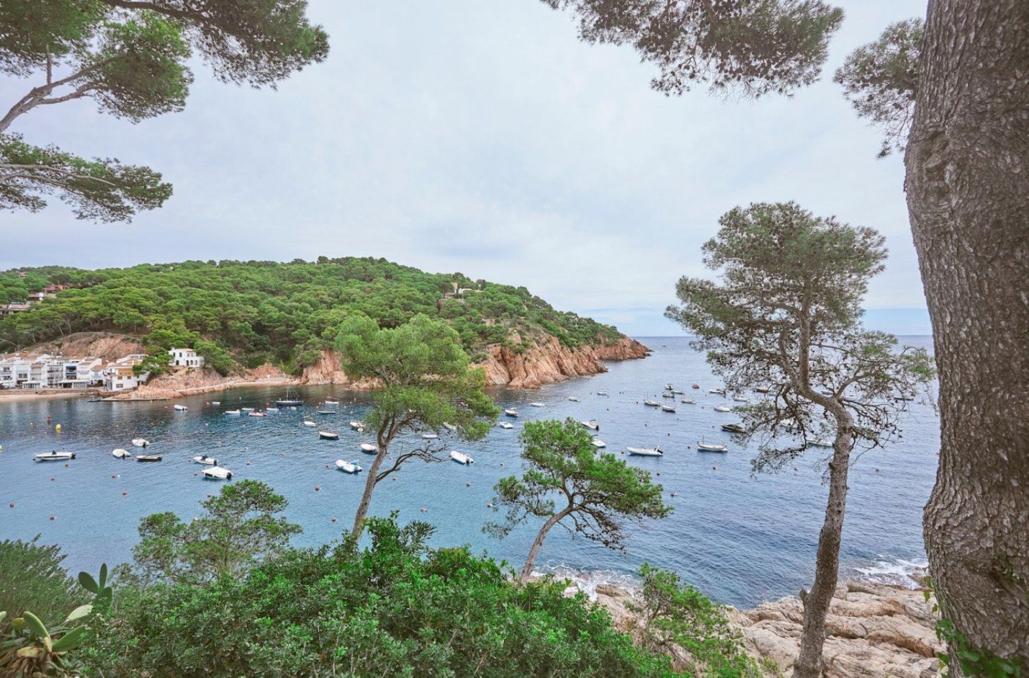 Casa en venda a primera línia de mar a Tamariu, a Palafrugell