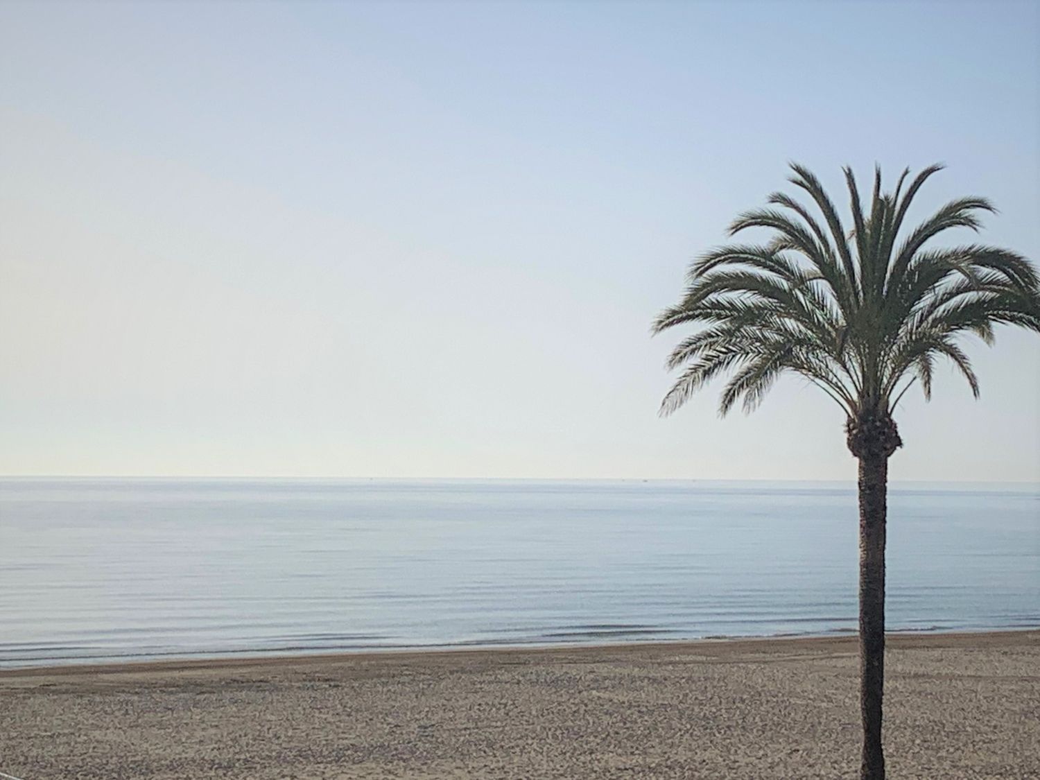 Apartment for sale on the seafront on Castelló Avenue, in Cullera