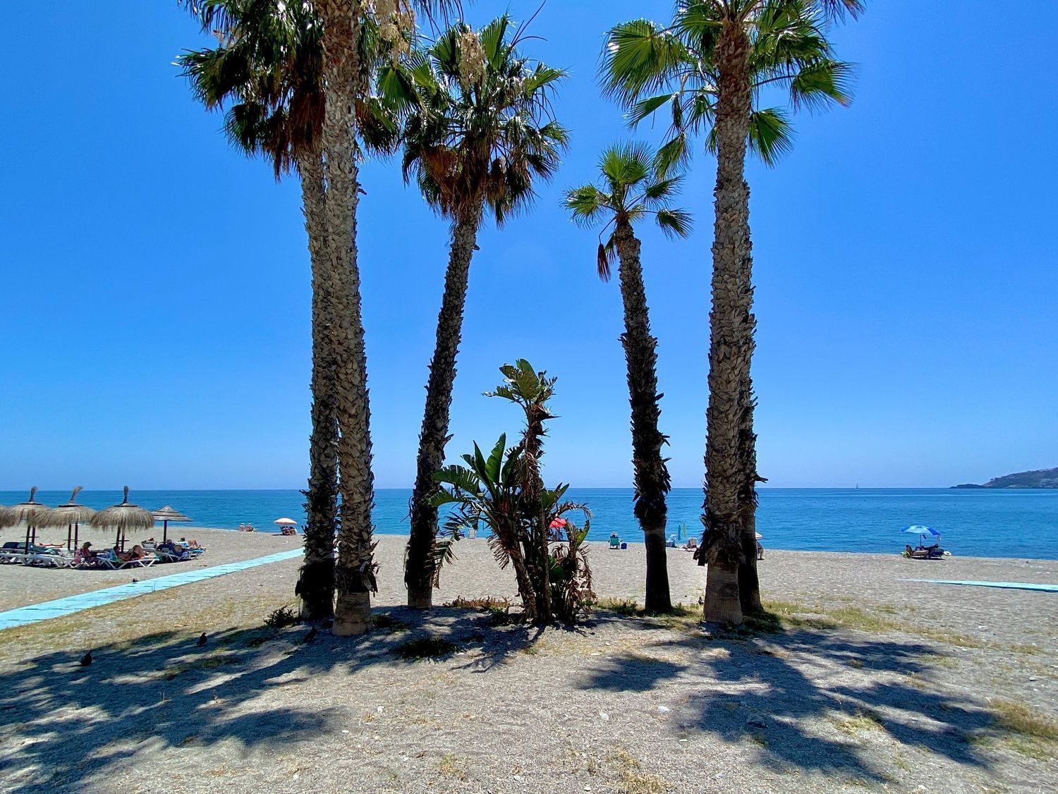 Apartamento à venda, em primeira linha de mar em Playa de la china, em Almuñécar.