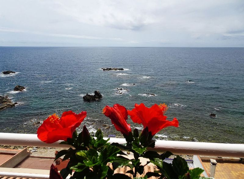 Cases en venda Palamós, Girona. Ref: 3702. Addurno.com