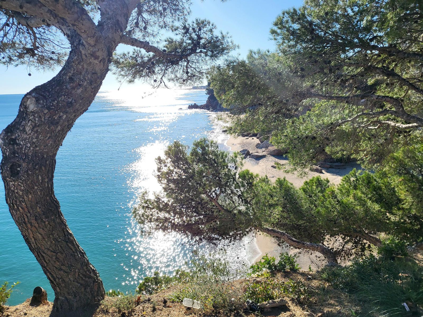 Piso en venta, en primera linea de mar en Carrer Baixada Platja Cristall, en Mont-roig del Camp.