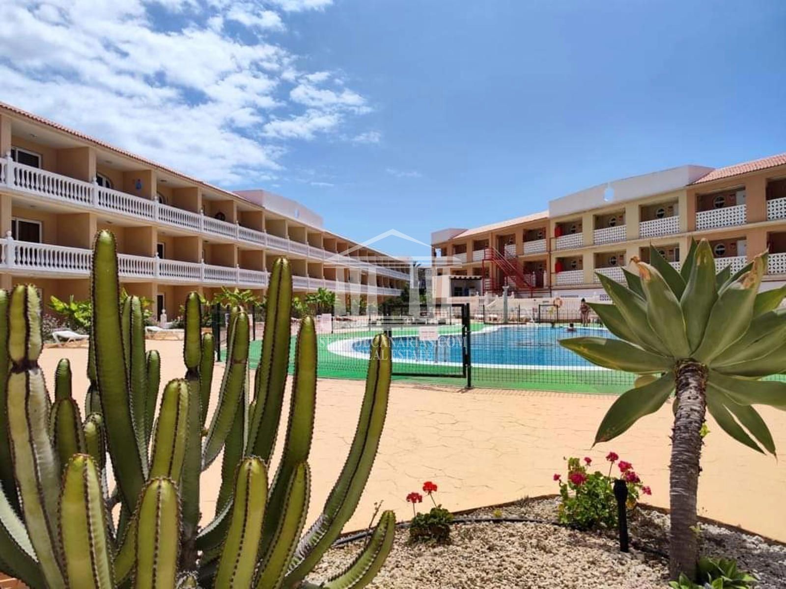 Studio на продажу Arona, Santa Cruz Tenerife. Ref: 1559. SEASIDECANARIAS REAL ESTATE 