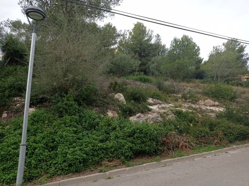 Parcela en venta Segur De Calafell, Tarragona. Ref: 1217. IMMOSEGUR CALAFELL