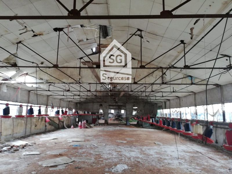 Nave Industrial en venta Amoeiro, Ourense. Ref: 1358. Segurcasa Inmobiliaria