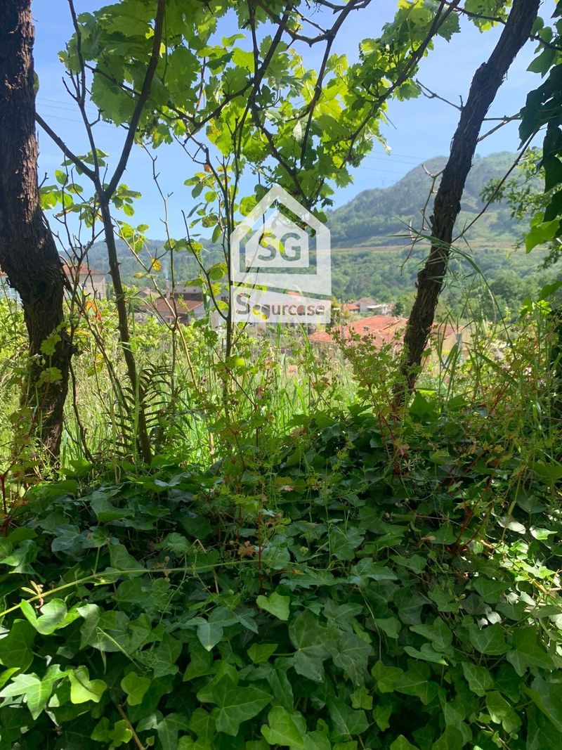 Parcela en venta Barbadas, Ourense. Ref: 1420. Segurcasa Inmobiliaria