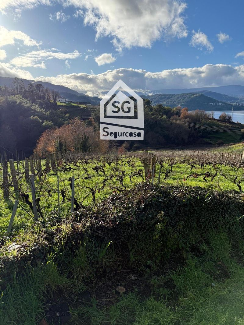 Parcela en venta Castrelo De Miño, Ourense. Ref: 1692. Segurcasa Inmobiliaria