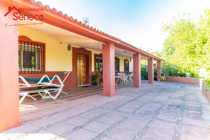 Chalet Independiente en venta Córdoba. Ref: 5035. INMOBILIARIA SÉNECA