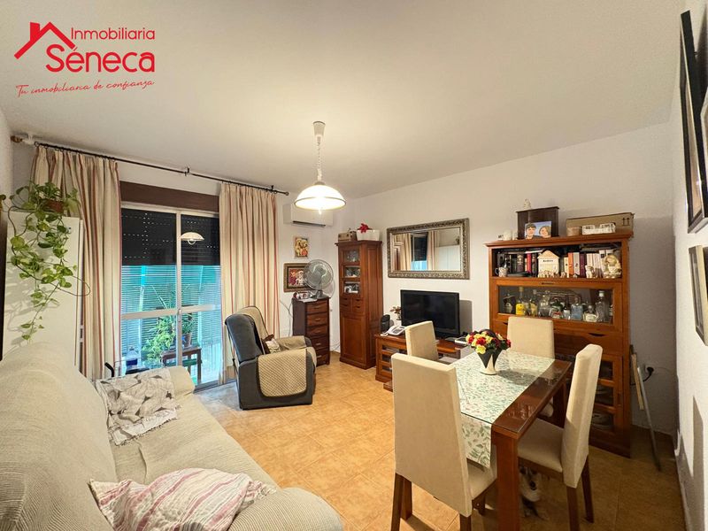 Piso en venta Córdoba. Ref: 5166. INMOBILIARIA SÉNECA