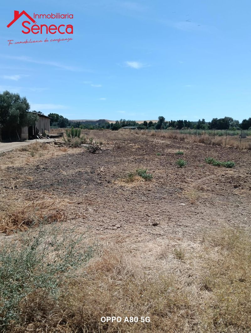 Parcela en venta Almodovar Del Rio, Córdoba. Ref: 5173. INMOBILIARIA SÉNECA