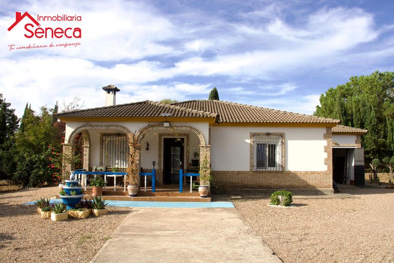 Chalet Independiente en venta Córdoba. Ref: 5280. INMOBILIARIA SÉNECA