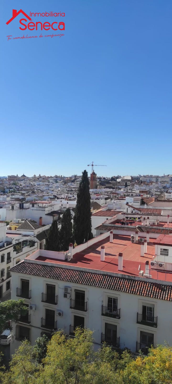 Piso en venta Córdoba. Ref: 5335. INMOBILIARIA SÉNECA