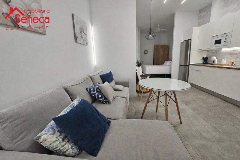 Estudio en venta Córdoba. Ref: 5405. INMOBILIARIA SÉNECA