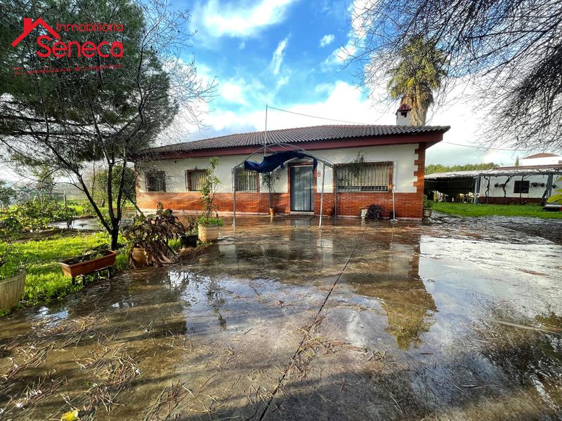 Chalet Independiente en venta Córdoba. Ref: 5434. INMOBILIARIA SÉNECA