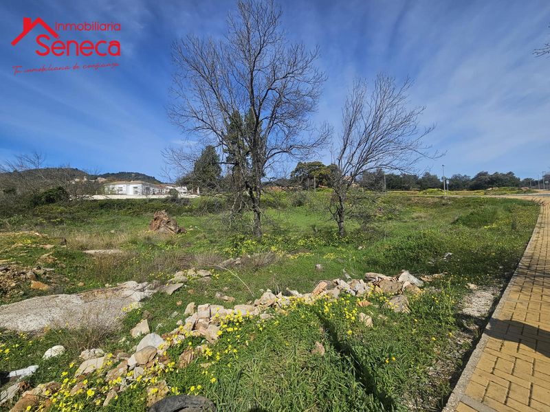 Parcela en venta Córdoba. Ref: 5494. INMOBILIARIA SÉNECA