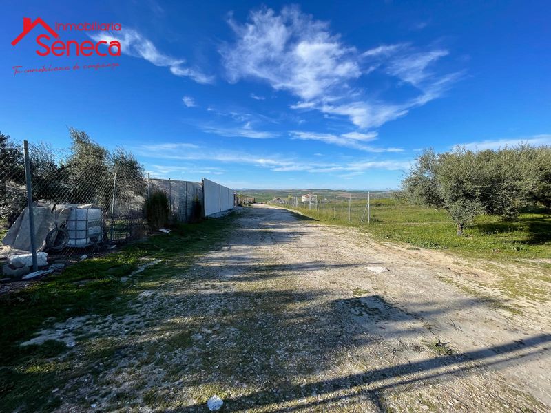 Parcela en venta Fernan-Nuñez, Córdoba. Ref: 5522. INMOBILIARIA SÉNECA