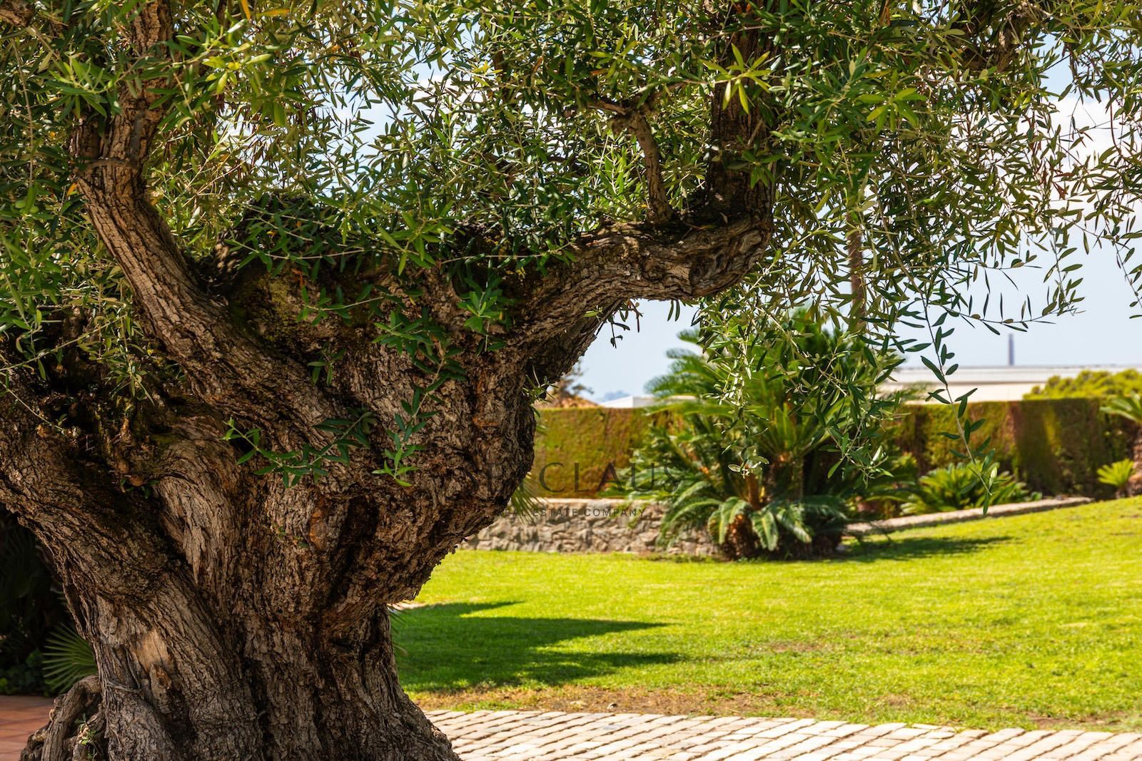 Comprar ALELLA. CAN TEIXIDÓ. Grandes vistas en una de las mejores zonas del Maresme foto 15