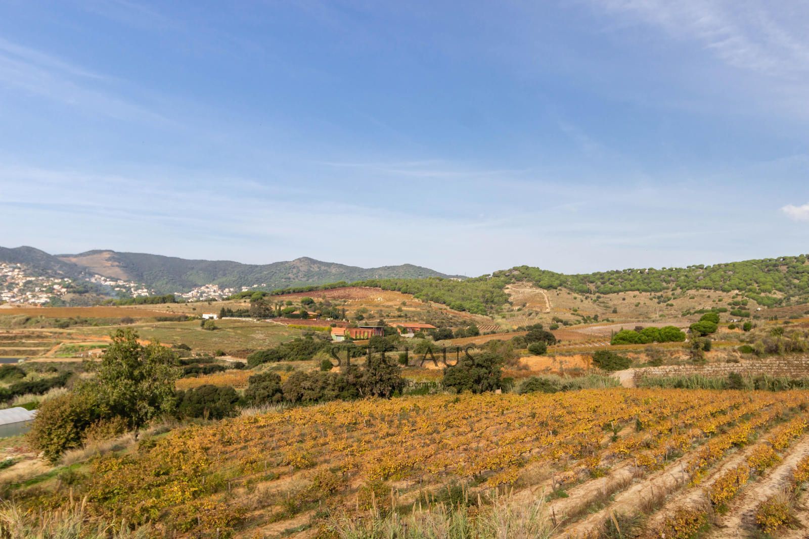 Comprar ALELLA. Dos viviendas independientes. foto 3