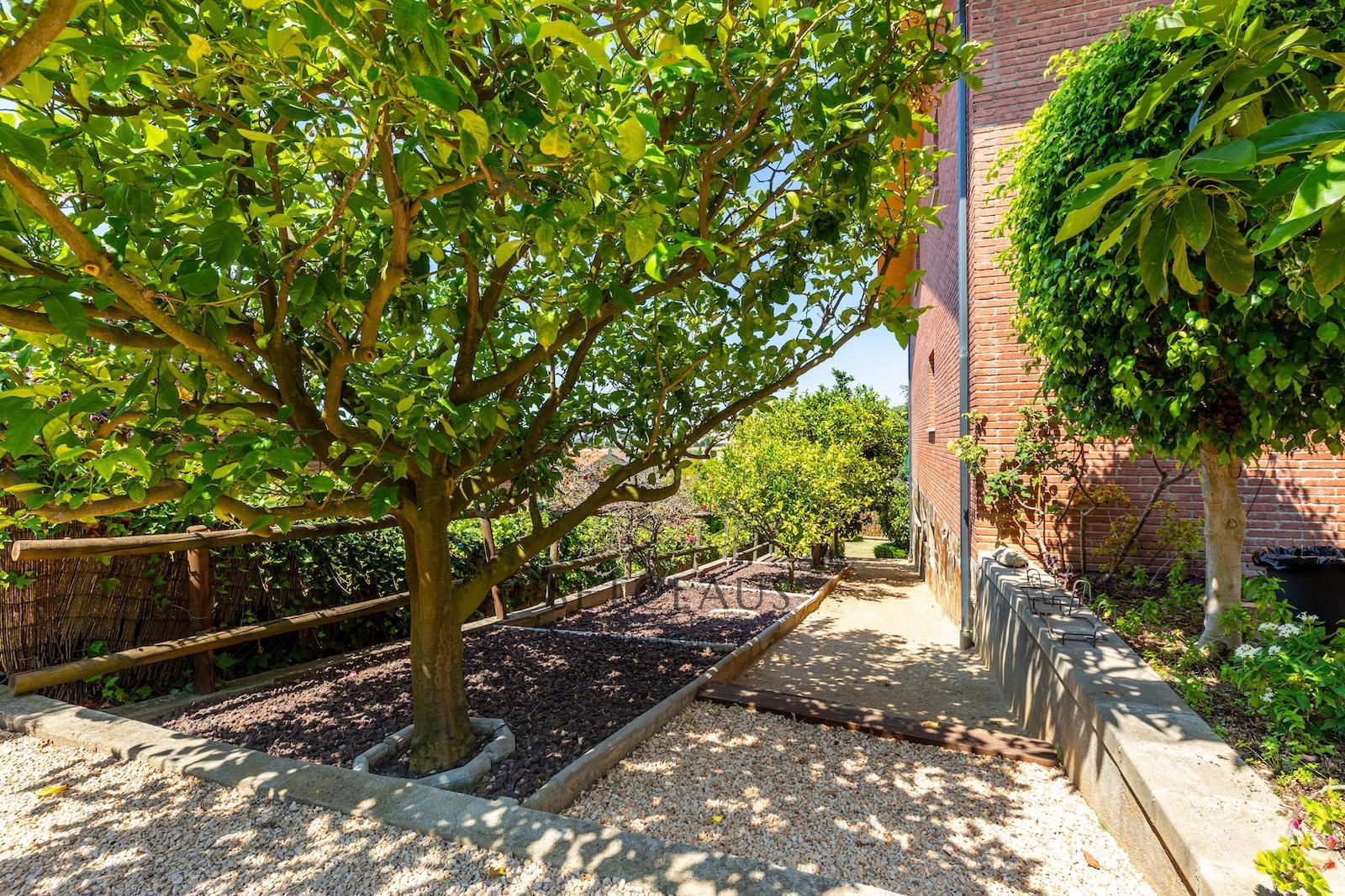 Comprar SANT VICENÇ DE MONTALT. Amplitud y luminosidad. foto 56