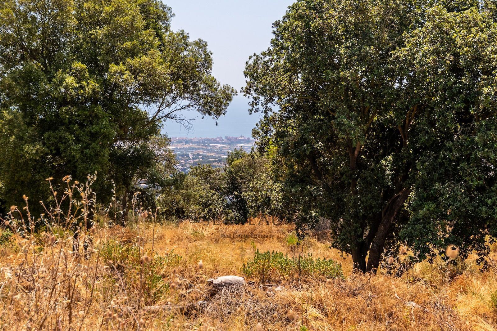 Comprar VILASSAR DE DALT. Two independent properties. foto 44